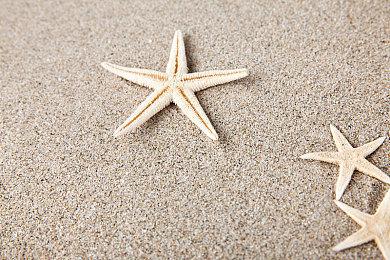 恐怖游戏《有一天你会归来：导演剪辑版》已推出